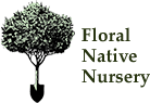 Floral Native Nursery